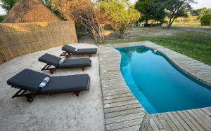 hunting safari botswana