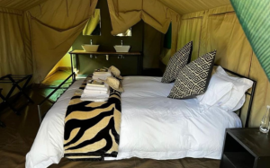hunting safari botswana