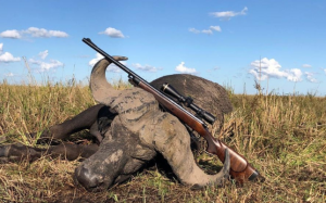 african_sunset_hunting_safari_mozambique 1