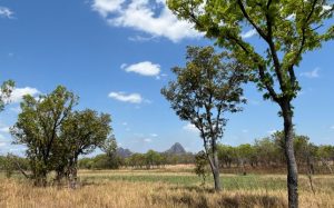 Moquia hunting area 10