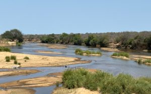 Moquia hunting area 7