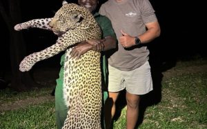 Mozambique, Niassa Reserve, R3.