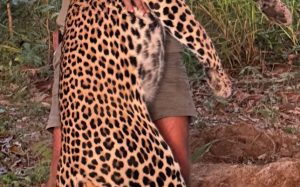 Mozambique, Niassa Reserve, R3.