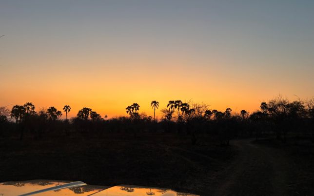 Mozambique, Niassa Reserve, R3.